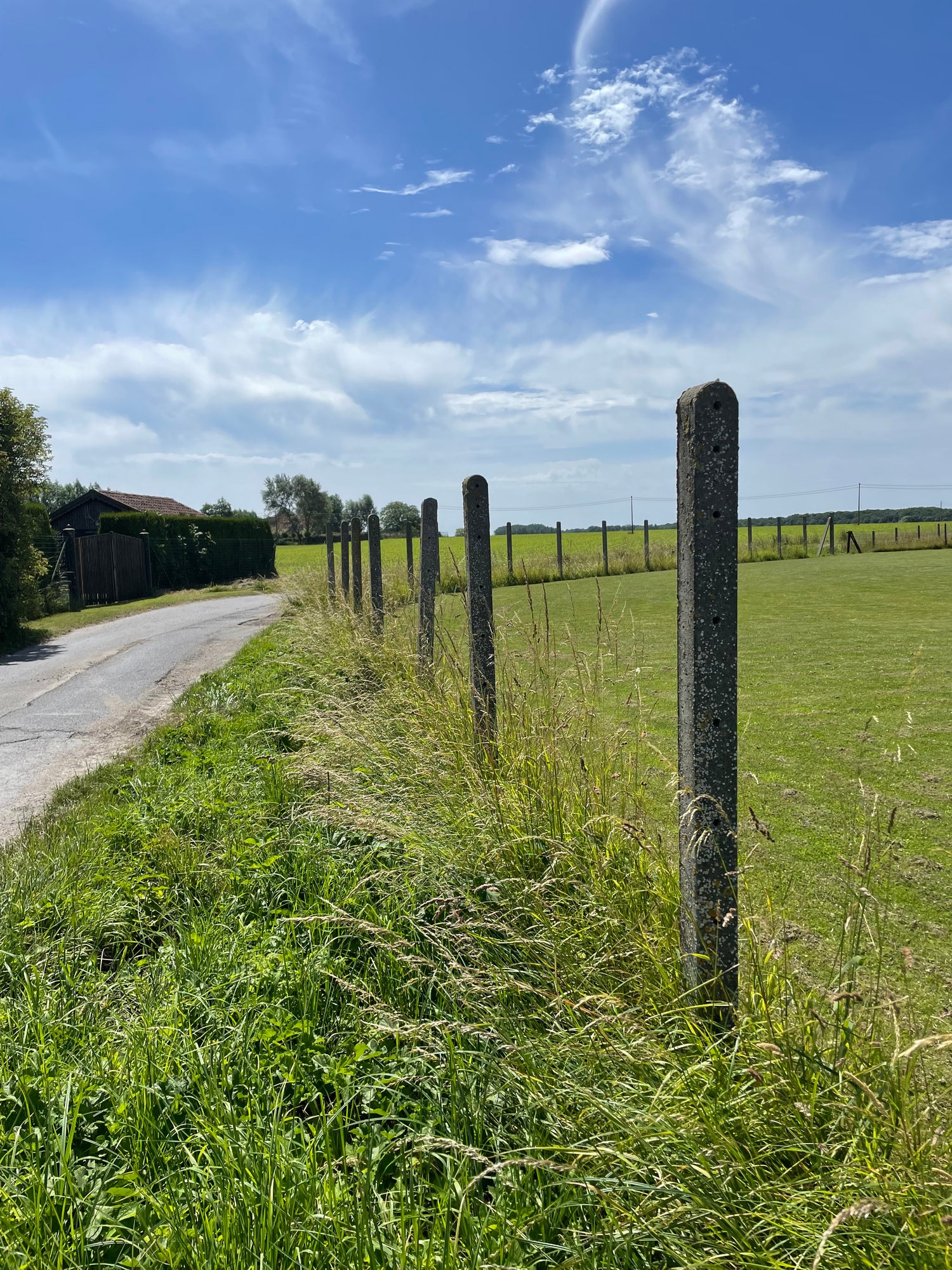 Groen veld met betonnen paaltjes langs landweg onder blauwe lucht met wolken
