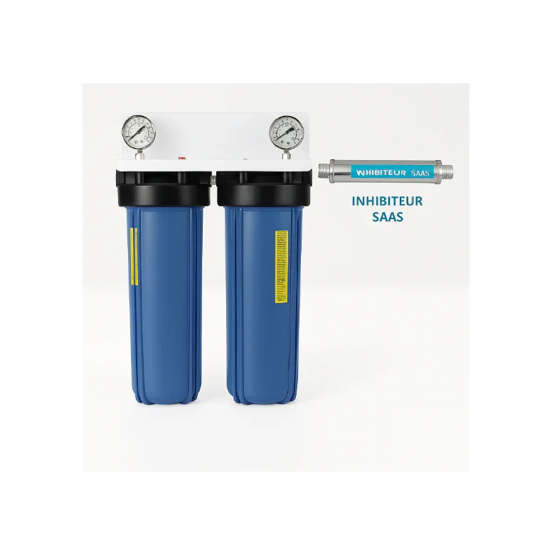 Dubbele waterfilter met drukmeters en kalkinhibitor voor waterontharding en filtratie